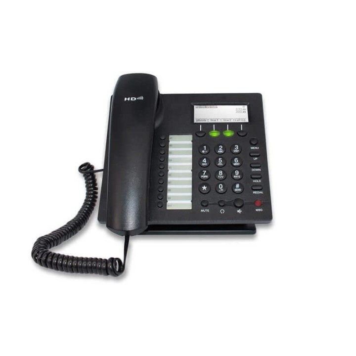 FLYING VOICE IP622C Standard  Business VOIP IP Phone