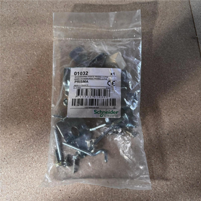 ACCESSORI DELLA PORTA PER ARMADI PRISMA G IP30