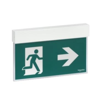 EXIWAY EASYSIGN, IP40, AUTOALIMENTATO STANDARD, PERMANENTE (SA) / NON PERMANENTE (SE), 24M, 1,5H, APPARECCHIO DI SEGNALAZIONE DI