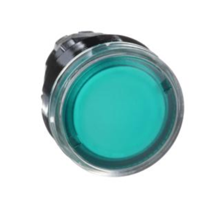 TESTA PULSANTE LUMINOSO Ø22 - VERDE