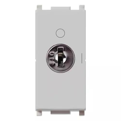 VIMAR PLANA - INTERRUTTORE 2P 16AX +CHIAVE SILVER