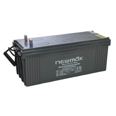 NEWMAX PNB121000 Battery 12V 100Ah Long Life